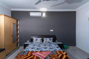 Lazy Mojo Inn